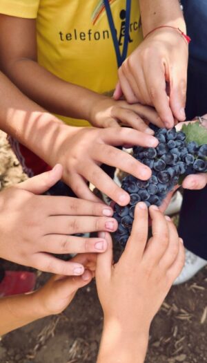 In Sicilia nasce il &ldquo;Patto di Incantaventu&rdquo;, un&rsquo;alleanza tra chi protegge l&rsquo;infanzia e chi la terra