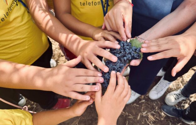 BAMBINI, INFANZIA, TELEFONO ARCOBALENO, TENUTE NAVARRA, TERRA, VENDEMMIA, Italia