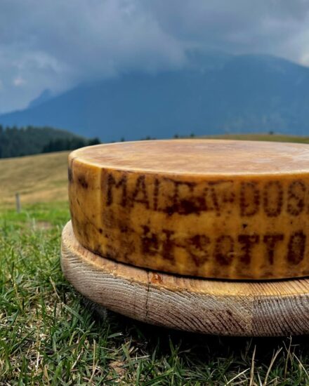 “Made in Malga” ad Asiago, patria dell’Asiago Dop e dei formaggi di montagna