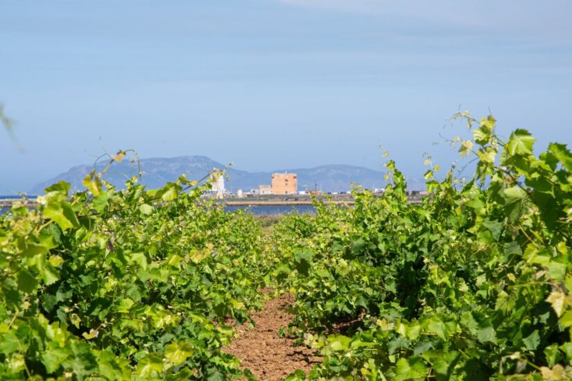 “Birgi Wine Fest” a Feudo Stagnone a Marsala con il concerto di Bianca Atzei