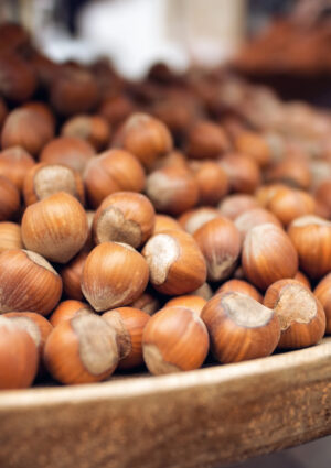 Nocciola, in Piemonte la raccolta &egrave; anticipata: &ldquo;il mercato riconosca il valore della produzione&rdquo;