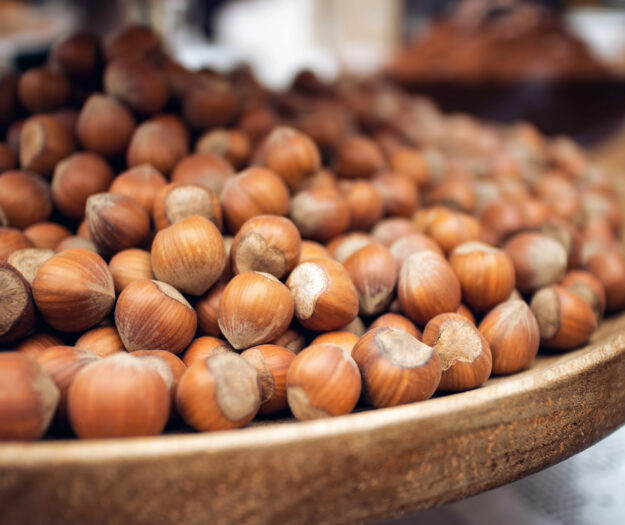 Nocciola, in Piemonte la raccolta &egrave; anticipata: &ldquo;il mercato riconosca il valore della produzione&rdquo;