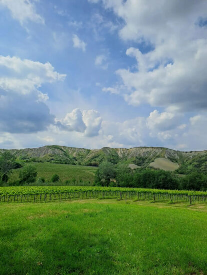 L’Oasi Gregorina in Romagna de Le Tenute Leone Alato (Generali)