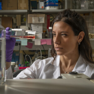 A Sandra Misale, ricercatrice alla Johns Hopkins University, il &ldquo;Premio Casato Prime Donne&rdquo; 2026