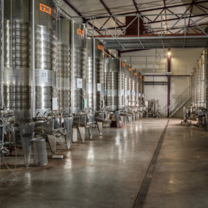 I produttori di vino del mondo puntano sempre pi&ugrave; sull&rsquo;acciaio, per vini pi&ugrave; freschi e leggeri