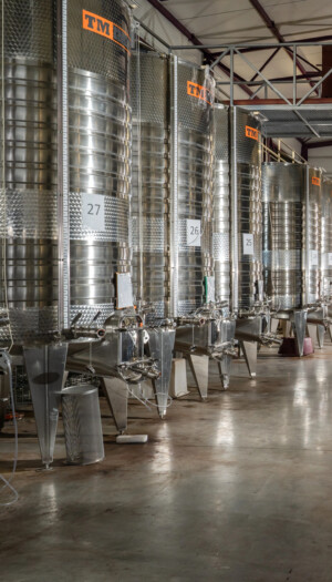 I produttori di vino del mondo puntano sempre pi&ugrave; sull&rsquo;acciaio, per vini pi&ugrave; freschi e leggeri