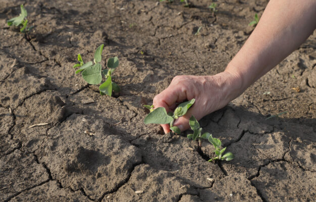 ACQUA, AGRICOLTURA EUROPEA, AGRICOLTURA ITALIANA, CALDO, CAMBIAMENTO CLIMATICO, COMMISSIONE UE, RACCOLTI ESTIVI, SICCITA', Non Solo Vino
