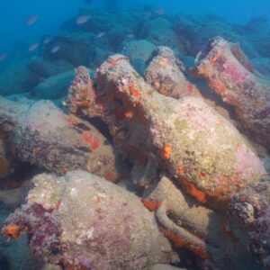Antichit&agrave; e bellezza del vino nel ritrovamento delle anfore nel relitto romano di Mazara del Vallo