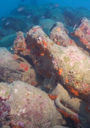 Antichit&agrave; e bellezza del vino nel ritrovamento delle anfore nel relitto romano di Mazara del Vallo