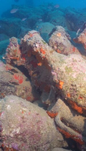 Antichit&agrave; e bellezza del vino nel ritrovamento delle anfore nel relitto romano di Mazara del Vallo