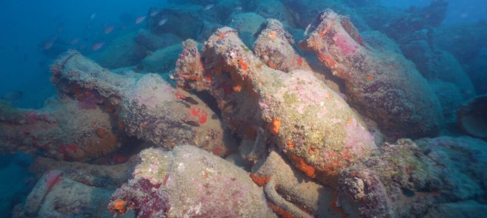 Antiquity and beauty of wine in the amphorae found in the Roman shipwreck of Mazara del Vallo