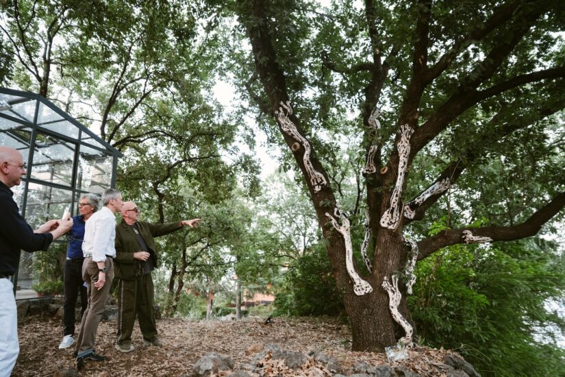 L’opera di Antonio Marras al Parco Artistico di Tenuta Ballasanti 