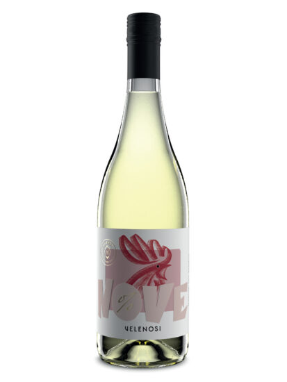 Su i Vini di WineNews