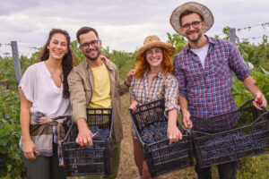 La &ldquo;Ganzega&rdquo; &egrave; salva in Trentino: ed anche gli amici possono aiutare a fare la vendemmia