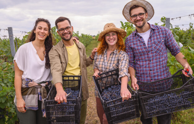 AGRICOLTURA, AIUTO OCCASIONALE, AMICI, GANZEGA, PARENTI, Italia