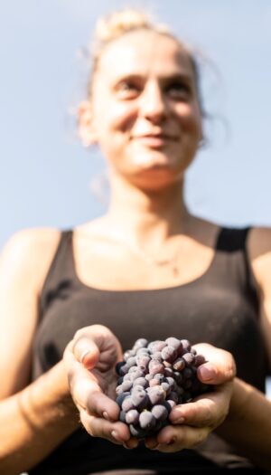 Se sempre pi&ugrave; persone vogliono cimentarsi nei mestieri di una volta: arrivano gli &ldquo;Hushed Hobbies&rdquo;