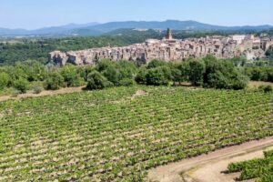 Bianco di Pitigliano, dai Romani ad oggi: una storia che festeggia sessanta anni di Doc