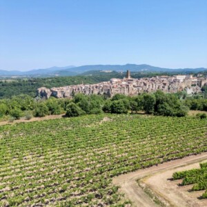 Bianco di Pitigliano, dai Romani ad oggi: una storia che festeggia sessanta anni di Doc