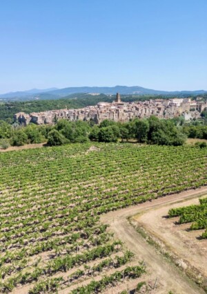 Bianco di Pitigliano, dai Romani ad oggi: una storia che festeggia sessanta anni di Doc
