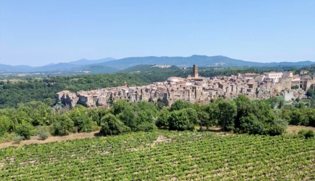 Bianco di Pitigliano, dai Romani ad oggi: una storia che festeggia sessanta anni di Doc