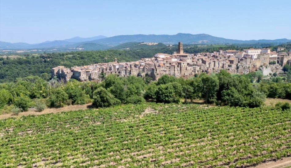 Bianco di Pitigliano, tradizione millenaria che festeggia 60 anni di Doc