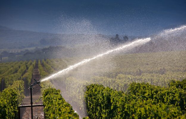 CAMBIAMENTO CLIMATICO, FRANCIA, INSTITUT RHODANIEN, IRRIGAZIONE, VALLE DEL RODANO, VINO FRANCESE, Mondo