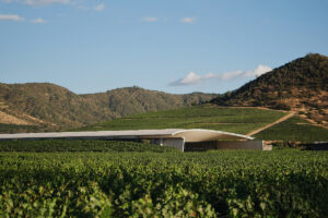 &ldquo;The World&rsquo;s 50 Best Vineyards&rdquo; 2026, la premiazione a Santiago del Cile