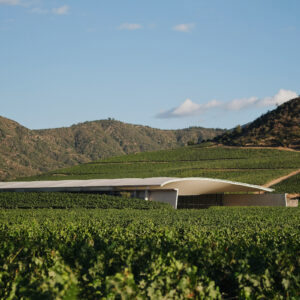 &ldquo;The World&rsquo;s 50 Best Vineyards&rdquo; 2026, la premiazione a Santiago del Cile