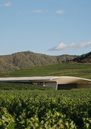 &ldquo;The World&rsquo;s 50 Best Vineyards&rdquo; 2026, la premiazione a Santiago del Cile