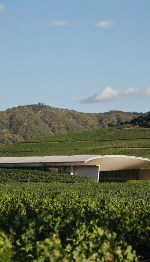 &ldquo;The World&rsquo;s 50 Best Vineyards&rdquo; 2026, la premiazione a Santiago del Cile
