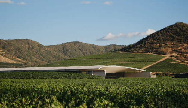 &ldquo;The World&rsquo;s 50 Best Vineyards&rdquo; 2026, la premiazione a Santiago del Cile