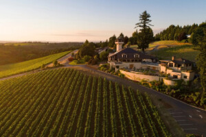 Oregon, Willamette Valley Vineyards si allarga ancora e vende titoli per 1,75 milioni dollari