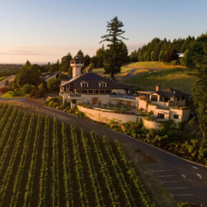 Oregon, Willamette Valley Vineyards si allarga ancora e vende titoli per 1,75 milioni dollari