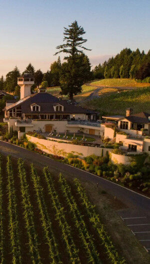 Oregon, Willamette Valley Vineyards si allarga ancora e vende titoli per 1,75 milioni dollari