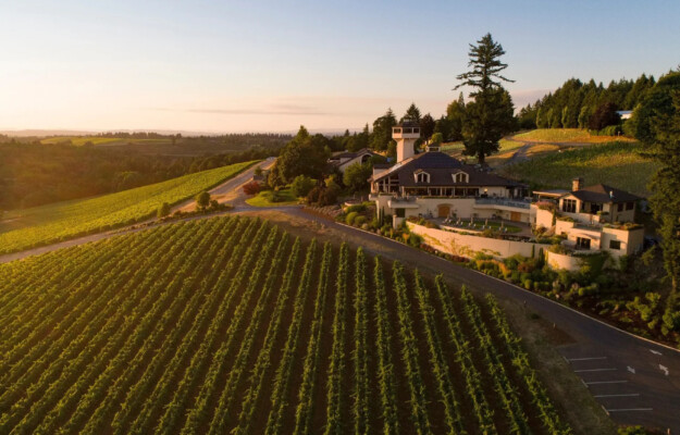 AZIONARIATO DIFFUSO, AZIONI, AZIONISTI, CROWFUNDING, OREGON, PINOT NERO, USA, WILLAMETTE VALLEY VINEYARDS, Mondo