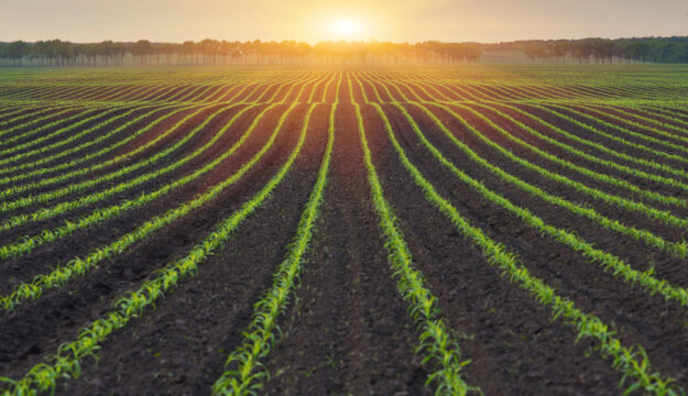 Giovani e demografia, il valore del &ldquo;fatto bene&rdquo;, aree interne: l&rsquo;agricoltura al &ldquo;Meeting di Rimini&rdquo;