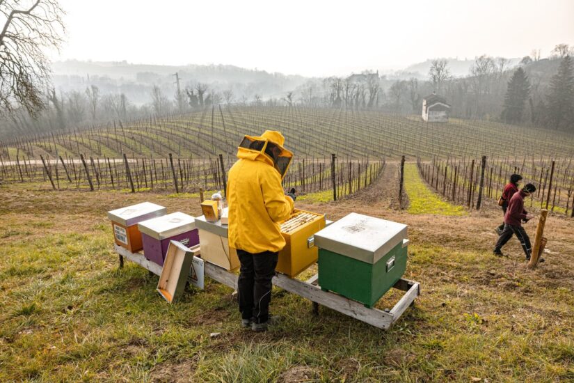 Herita Marzotto Wine Estates, esempio di sostenibilità