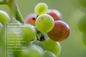 I Vini di WineNews - N. 426
