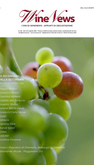 I Vini di WineNews