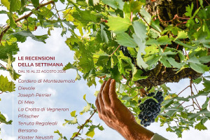 I Vini di WineNews - N. 428