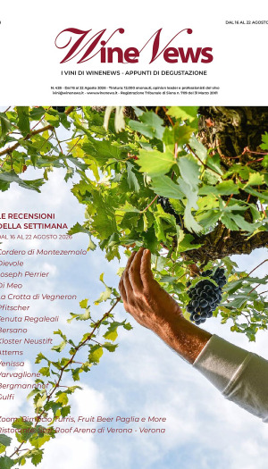 I Vini di WineNews