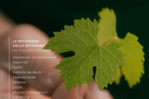 I Vini di WineNews - N. 429