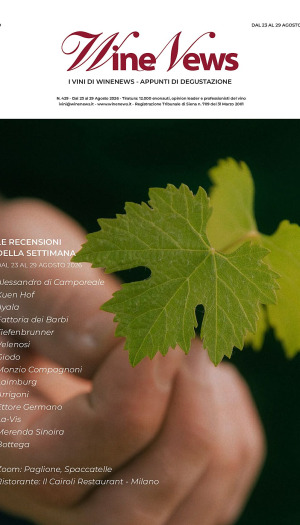 I Vini di WineNews