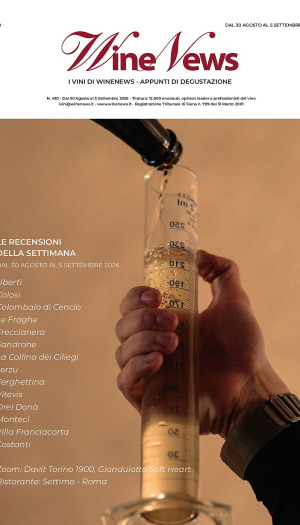 I Vini di WineNews