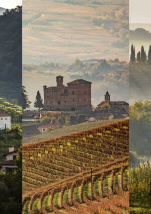 Export vino italiano nel primo semestre 2026, Veneto n. 1, cresce il Piemonte, segue la Toscana