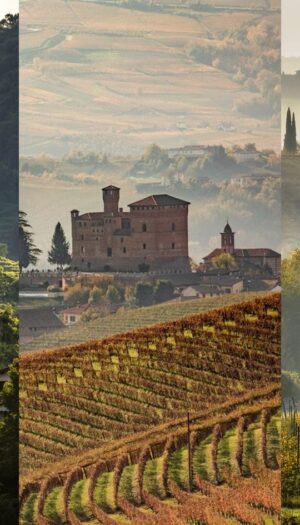 Export vino italiano nel primo semestre 2026, Veneto n. 1, cresce il Piemonte, segue la Toscana