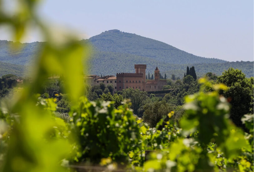 BOLGHERI, DEGUSTAZIONE, DENOMINAZIONE, NUMERI, Su i Quaderni di WineNews