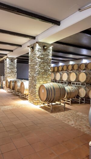 Furto nelle Langhe: rubate 3.000 bottiglie di Barolo nella cantina Conterno Fantino