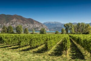 Il paesaggio nel futuro della Franciacorta, territorio d&rsquo;avanguardia tra tutela ed evoluzione
