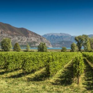 Il paesaggio nel futuro della Franciacorta, territorio d&rsquo;avanguardia tra tutela ed evoluzione